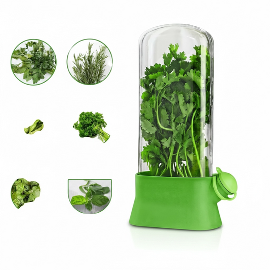 Vegetable Preservation Box – Airtight Herb & Onion Storage Container | Fresh Fridge Organizer